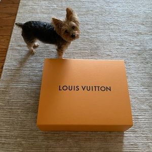 Louis Vuitton Box - Large with 6 feet of ribbon